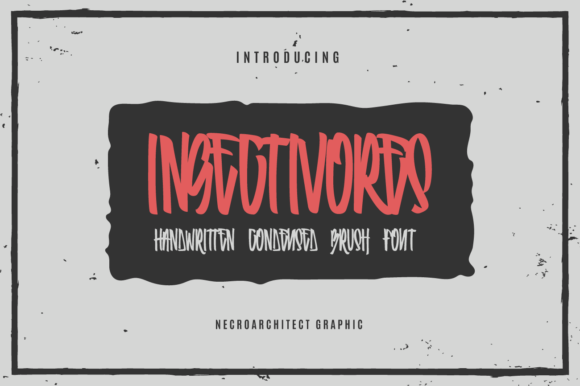 Insectivores Font: A Display Typeface for Editorial Design